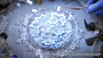 New process turns plastic waste into hydrogen fuel while trapping the carbon