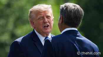 Trump ups pressure on Senate GOP in Blanche fight, vows 'anti-weaponization' fund revival