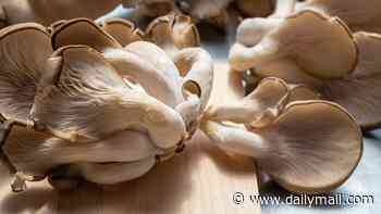 The anti-ageing nutrient found in mushrooms and old cheese that scientists believe supports heart health - and Carol Voderman takes it daily...