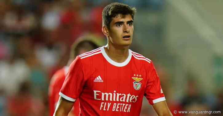 Bournemouth sign Portugal defender Silva for £25m from Benfica