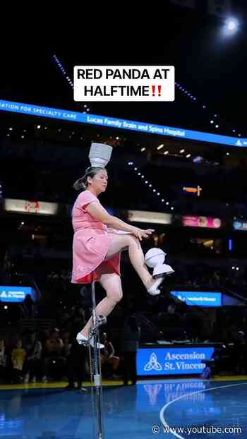 One of the highlights of every season: Red Panda at halftime‼️