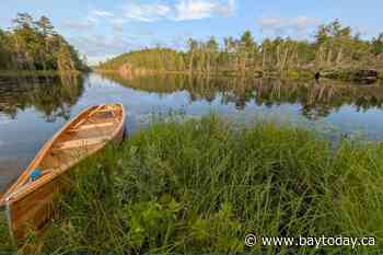 Back Roads Bill visits Powassan’s Giesler Boats for a look at a custom cedar strip build