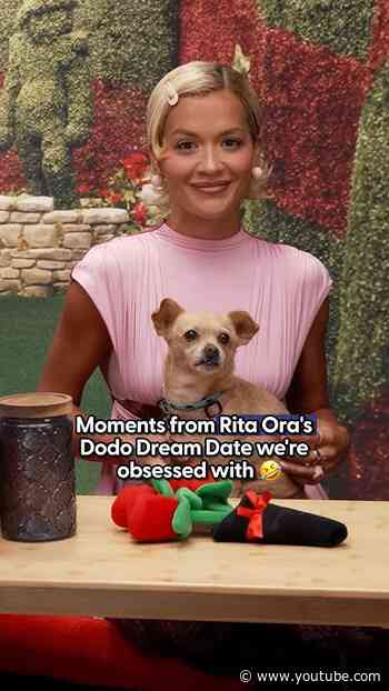 Our Top 4 Favorite Moments From Rita Ora's Dream Date | The Dodo