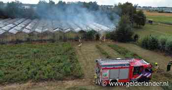 Planten vatten vlam in verlaten kas in Huissen, brandweer weet erger te voorkomen