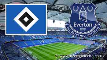 Hamburg vs Everton LIVE - score, Merlin Rohl goal and commentary stream
