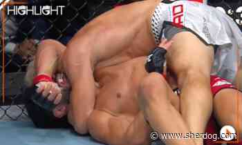 UFC Belgrade highlight video: Bogdan Grad gets controversial submission over Dennis Buzukja