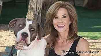 Exorcist star Linda Blair has shameless rebuke for authorities after they found 200 dogs in RAID on her Los Angeles home: 'Just sayin'
