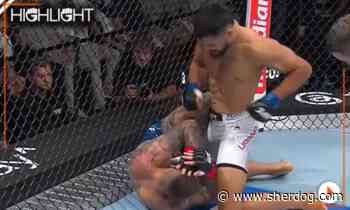 UFC Belgrade highlight video: Gilbert Urbina unloads on Vlastislav Cepo