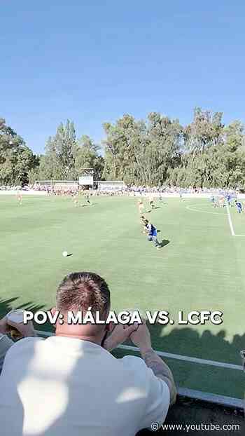 Watching the Foxes in Spain 🦊👓