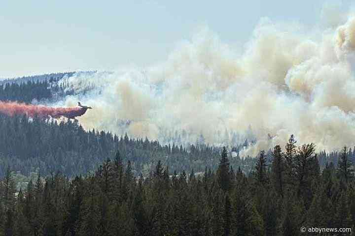 Guichon Creek fire near Logan Lake holding at 145 hectares