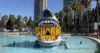 How Shark Week Continues to Make a Big Marketing Splash Year After Year