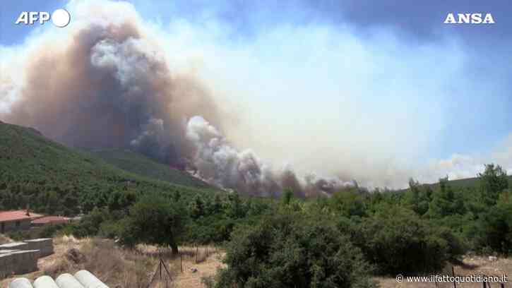 La Grecia continua a bruciare, incendi alle porte di Atene: situazione critica per il forte vento – Video