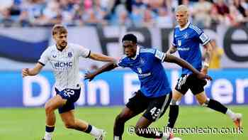 What happened at Volksparkstadion explains £7m transfer as Everton pair get exactly what they needed