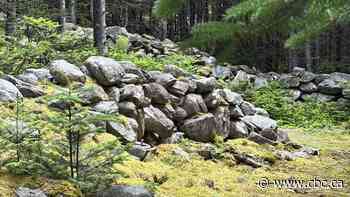 The mystery of the 'Great Wall' of Hant’s Harbour