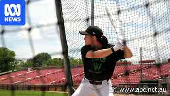 'Who says girls can't play baseball?': America's pastime goes pro for women