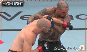 UFC Belgrade highlight video: Uros Medic demolishes Daniel Rodriguez in 30 seconds