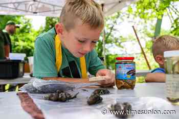 Photos: Kids meet Hudson River's acquatic habitants at annual fish count