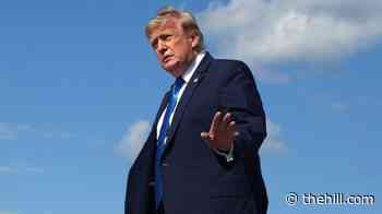 Trump rips Pirro decision as DOJ looks to drop Reflecting Pool case: 'I don't agree'