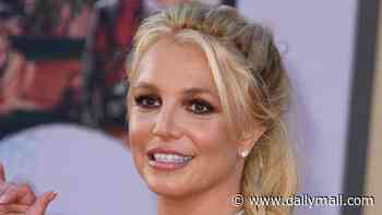 Britney Spears goes TOPLESS in wild clip before twerking on the floor in front of housekeeper