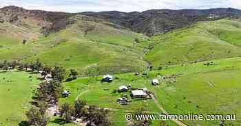 Work needed to stock 4007ha Flinders Ranges property heading to auction