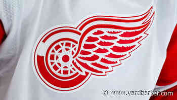 What Will The Red Wings’ Next GM Inherit?