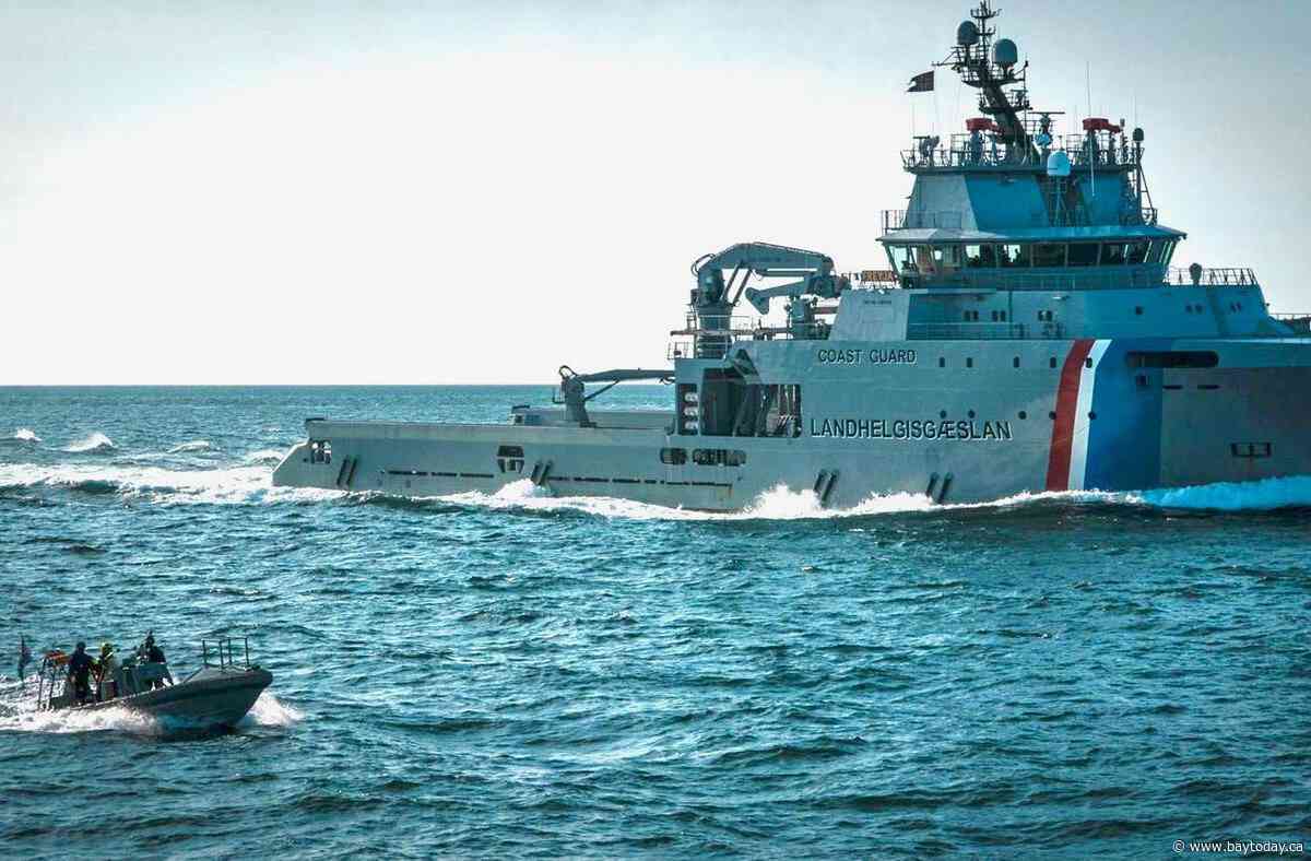 Canadian activist among those detained on anti-whaling ship in Iceland