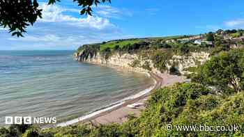 More than 300 councillors in new Devon authorities