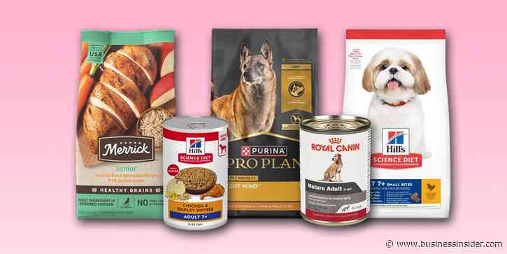 Best senior dog food, with guidance from veterinarians