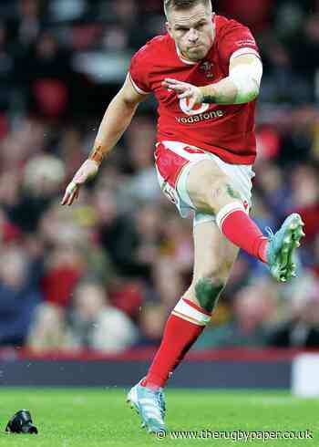 Anscombe takes up Scarlets challenge