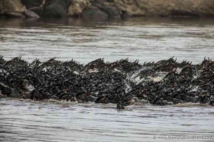 Reframe the Great Migration as a Season-Led Safari Journey, Not a Single Moment