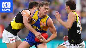 Live: Eagles hampered by inaccuracy as errant elbow leaves Tiger bloodied