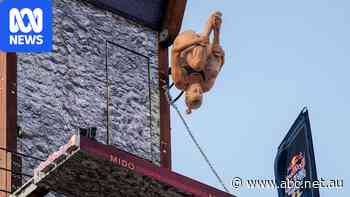 Australia's Rhiannan Iffland becomes greatest cliff diver of all time