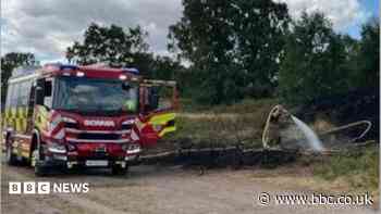 Road shut after adders and toads killed in fire