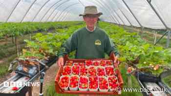 Farm hails environmental benefits of local sales