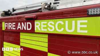 Arson arrests for boys over woodland fire