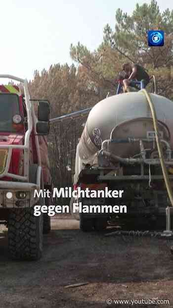 Mit dem Milchtanker gegen Waldbrände #tagesschau #nachrichten #waldbrände #frankreich