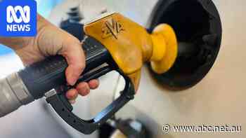 Drivers brace for petrol price hikes as fuel excise cut comes to end