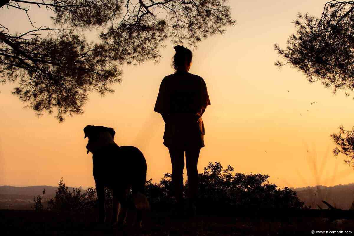 Canicule : le Var et les Alpes-Maritimes en vigilance orange, jusqu’à 40 °C prévus