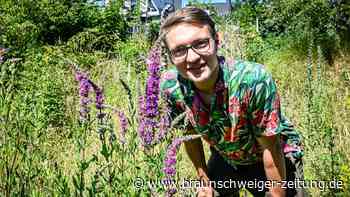 Garten-Influencer erklärt: Diese „Top 5“-Pflanzen sind Schmetterlingsmagneten