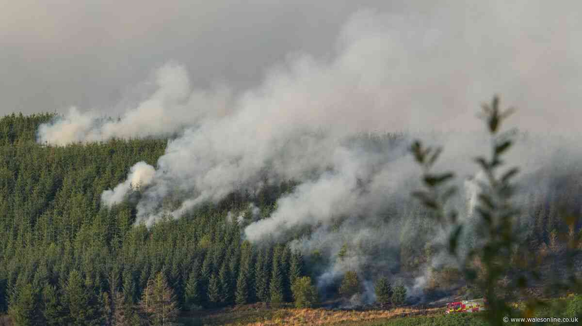 People living near Llanwonno mountain warned as fire tears through woodland