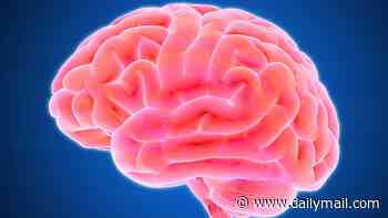 Experts flag troubling rise in Huntington's - 'a mix between dementia and motor neurone disease'...and thousands don't know they have it