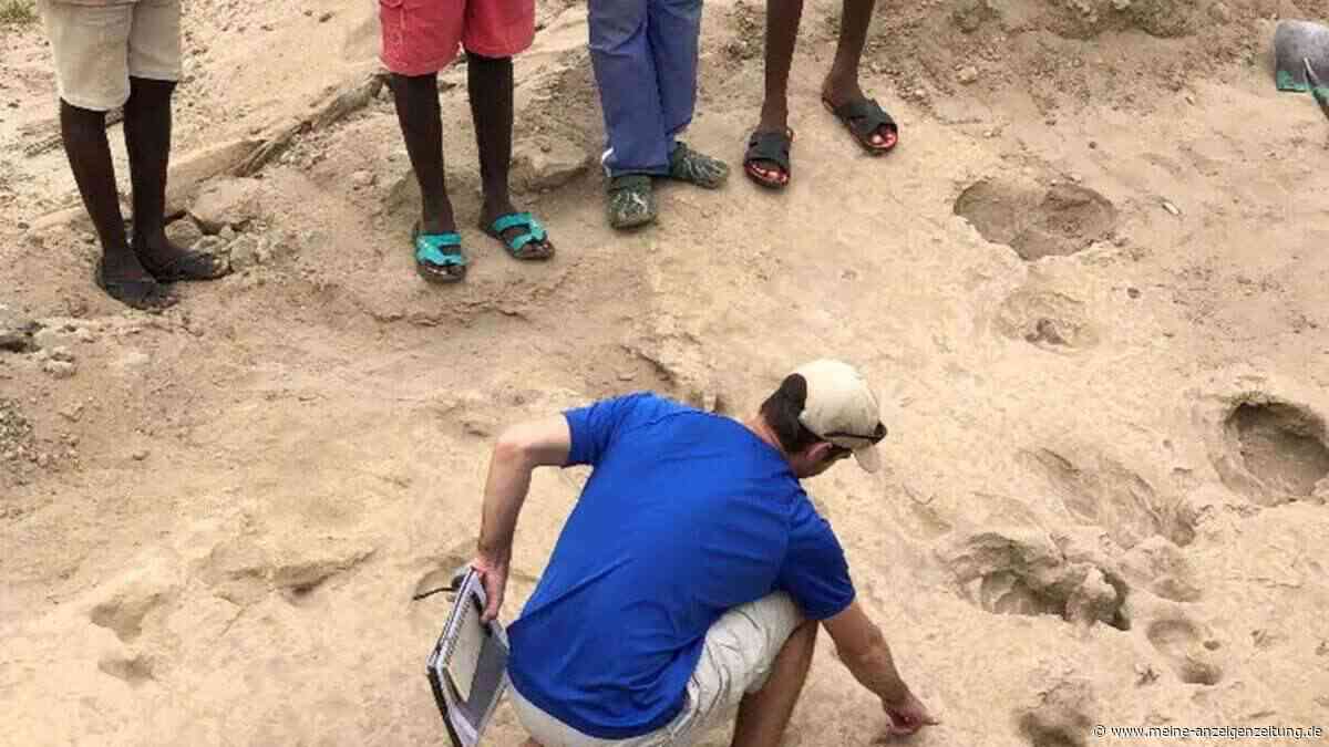 1,4 Millionen Jahre alte Fußspuren zeigen ungewöhnlich große Menschenverwandte