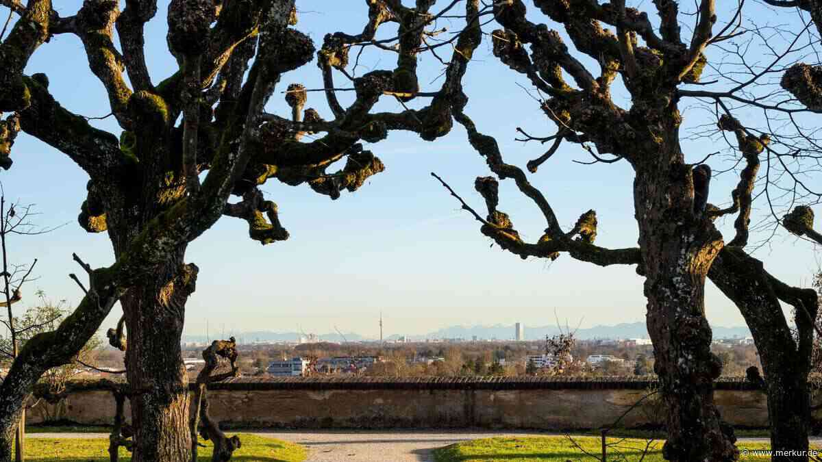 Ins Dachauer Moos mit dem Rad: Eine entspannte Route von München-Pasing zum Schlossgarten