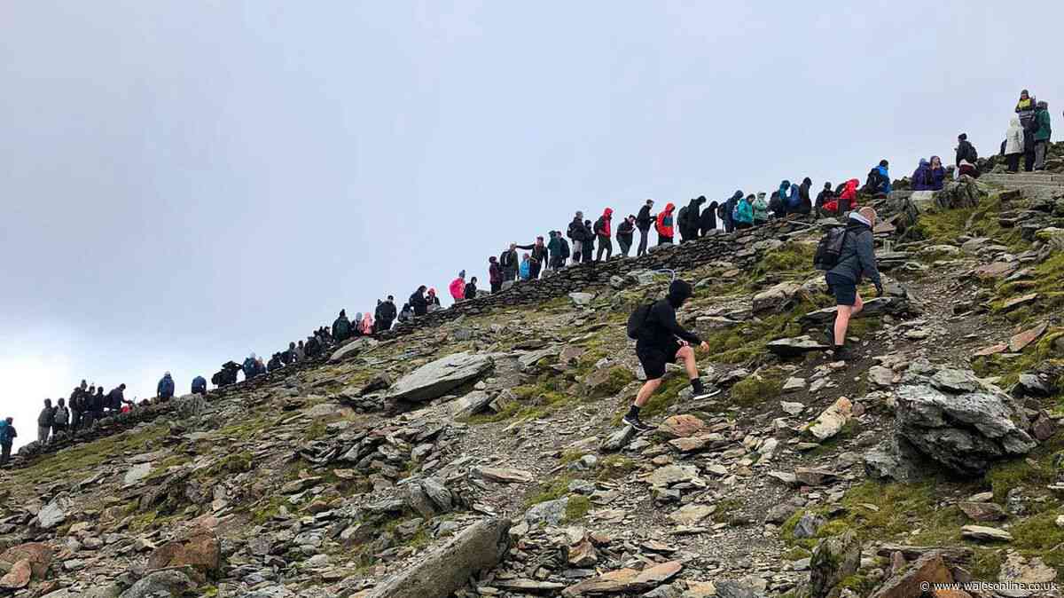 Expert issues warning to parents climbing Welsh mountain for 'baby selfies'
