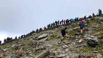Expert issues warning to parents climbing Welsh mountain for 'baby selfies'