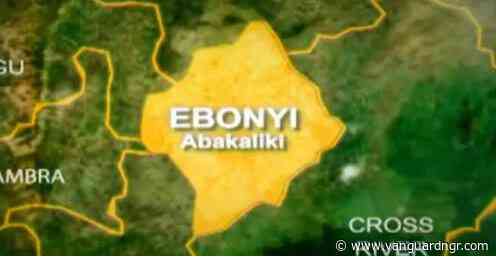 Suspected political thugs attack journalists in Ebonyi