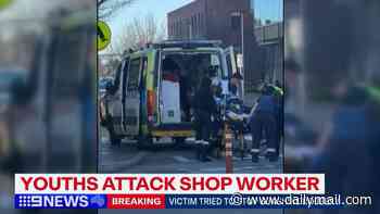 Premier Ben Carroll's pledge on youth crime after 'awful' alleged attack on a retail worker in Sunshine, Melbourne