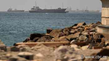 Ships stranded in Gulf could pose global invasive-species threat, study says