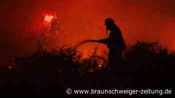 Waldbrände toben in Griechenland: Flammen bedrohen Megara