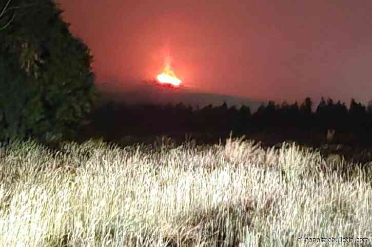 UPDATE: Splatsin First Nation issues evacuation order and alert for Bradley Creek wildfire